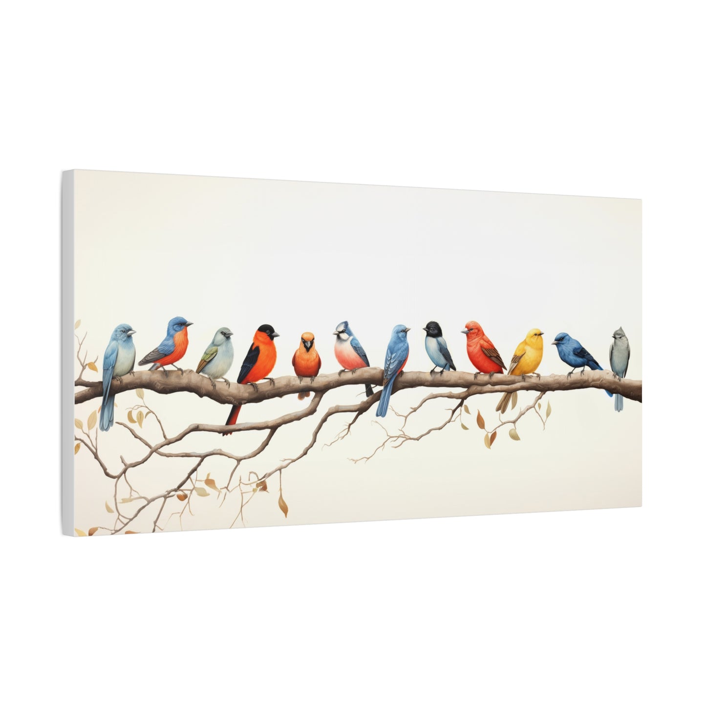 12 Birds