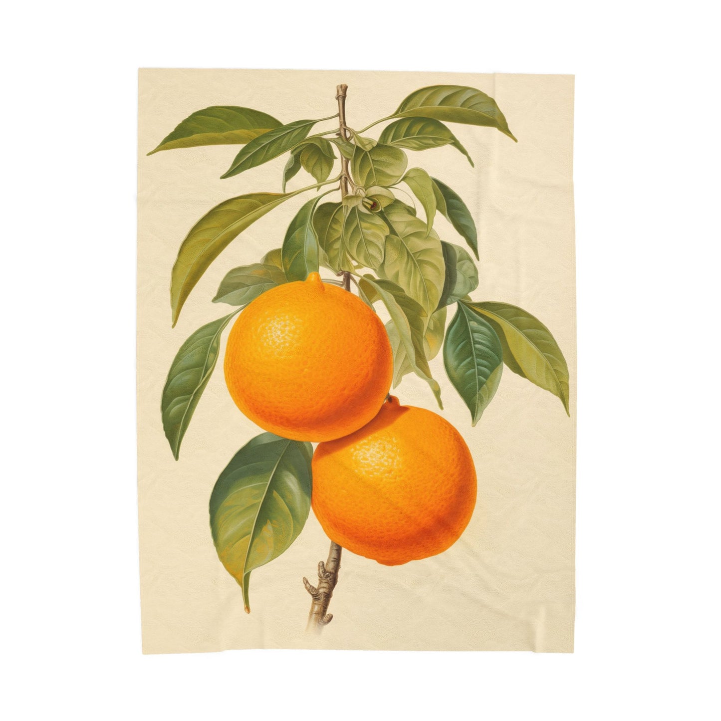 Oranges