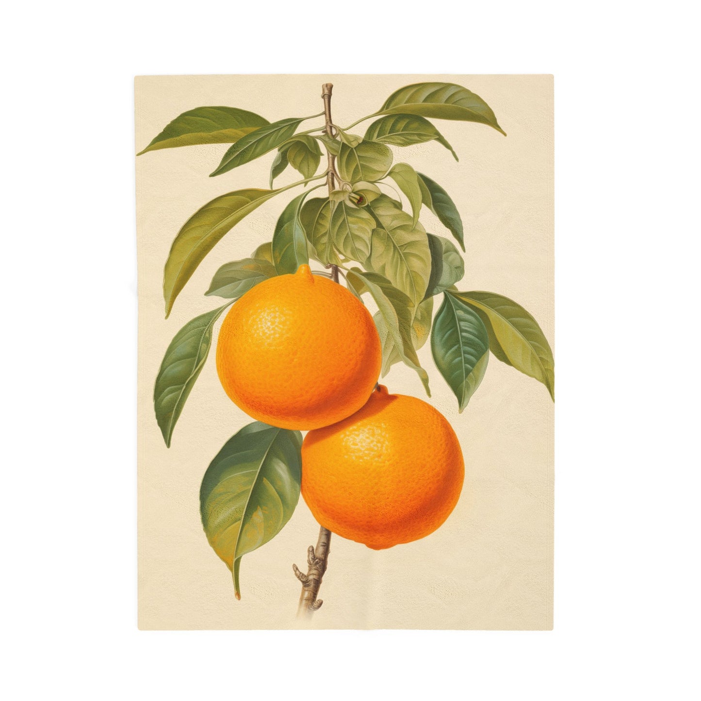 Oranges