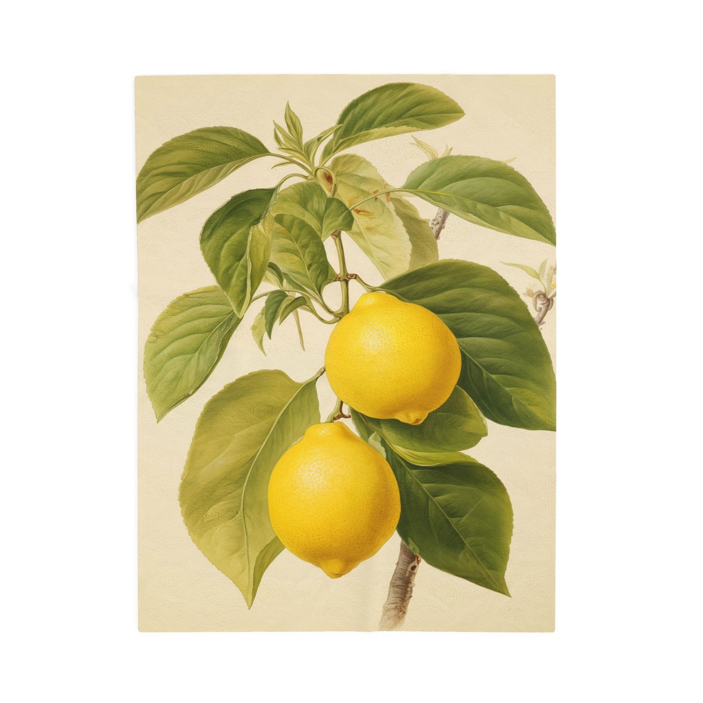 Lemons
