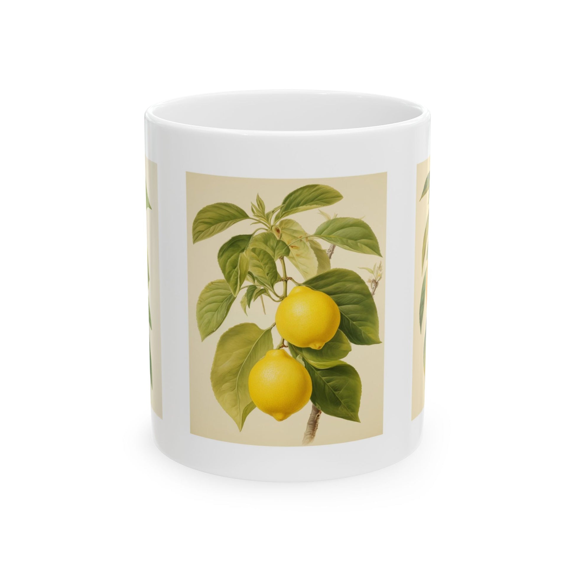Citrus Ceramic Art Mug 11oz